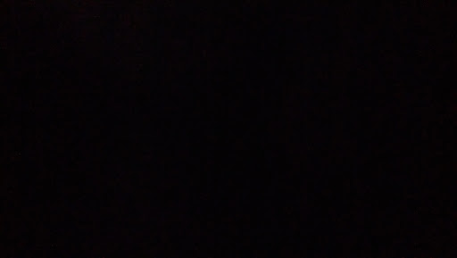 Frances Foster Photo 39