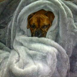 Patricia Healy Photo 14