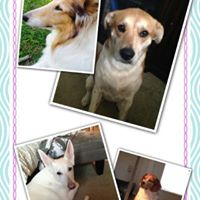 Kristi Walters Photo 11