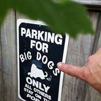 Melissa Samples Photo 6