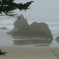 Jane Nesbitt Photo 14