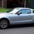 Janice Bray Photo 11