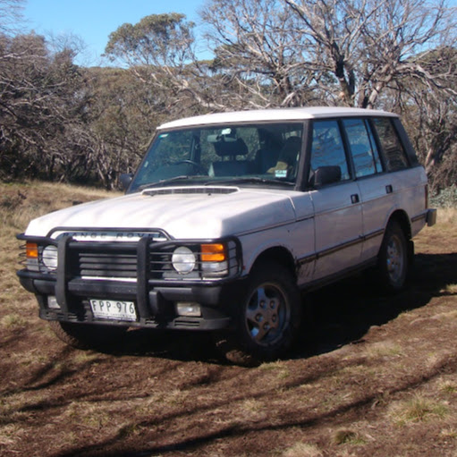 Stephen Lester Photo 31