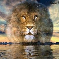 Clinton Gray Photo 7