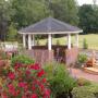 Susan Bird Photo 32