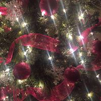 Linda Rhodes Photo 29