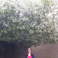 Xiaoqing Li Photo 14