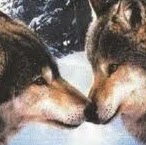 Kellie Malone Photo 30