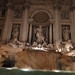 Marcus Conti Photo 11