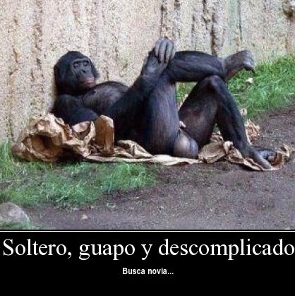 Juan Lizardo Photo 19 Juan Lizardo Photo 19