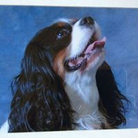 Christine Fain Photo 10