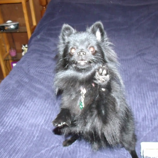 Jill Simons Photo 16