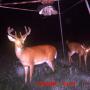 Matt Griffis Photo 18
