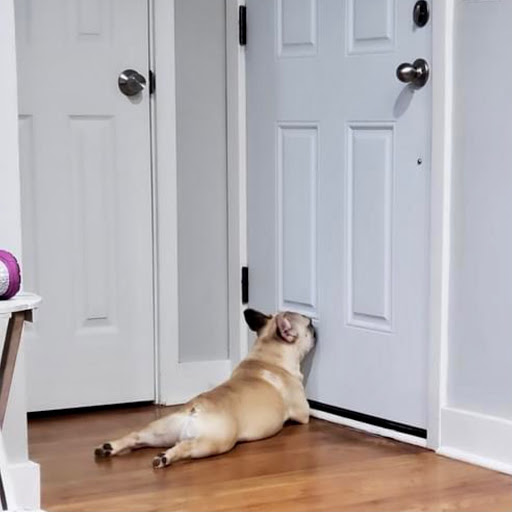 Lucy Rogers Photo 34