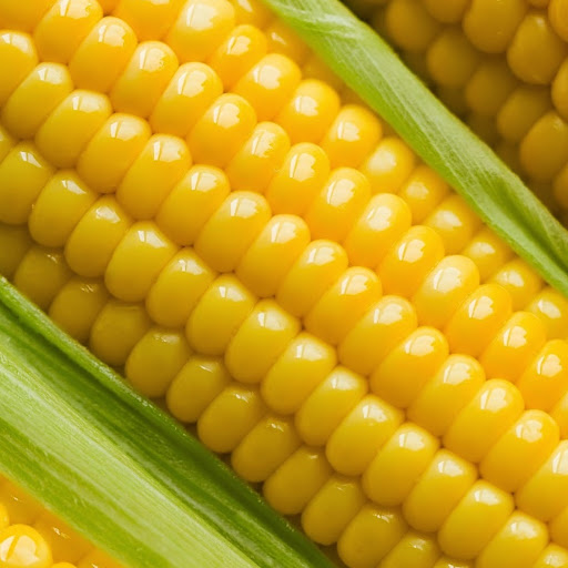 Nicholas Kelly Photo 21