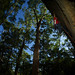 David O'Donnell Photo 22