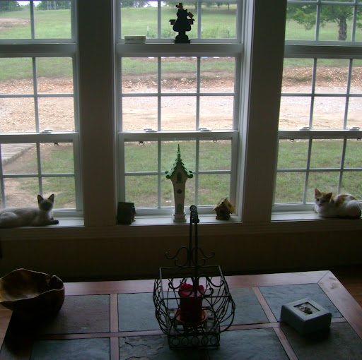 Debra Strickland Photo 30