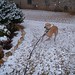 Sean Yoder Photo 16
