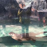 Amanda Bradshaw Photo 27