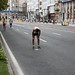 Juan Molina Photo 39