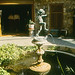 John Archbold Photo 6