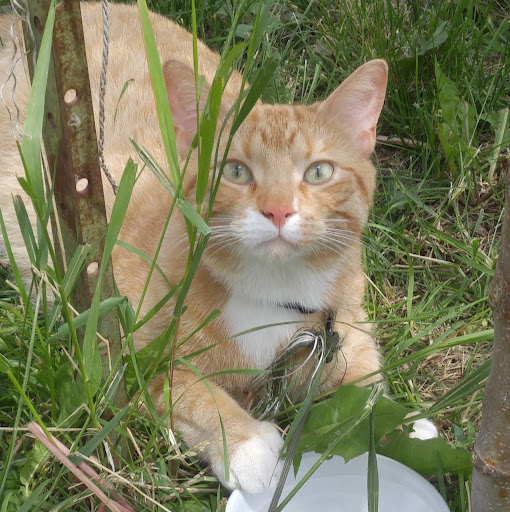 David Milligan Photo 35