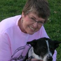 Joanne Vaughn Photo 10