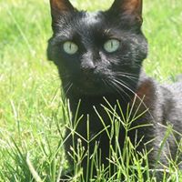 Kathy Gilmore Photo 41