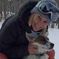 Robin Packer Photo 13