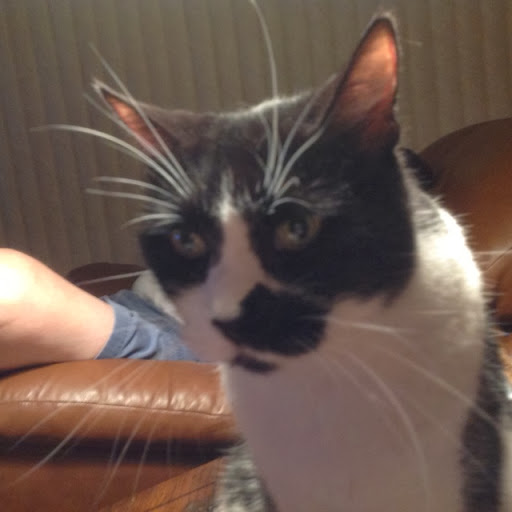 Pamela Kunkel Photo 12