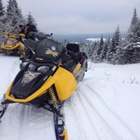 Carl Andrews Photo 18 Carl Andrews Photo 18