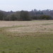 Jonathan Heath Photo 9
