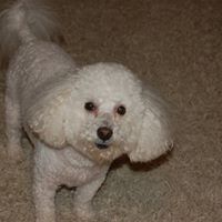 John Mccrary Photo 10