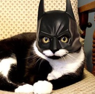 Anne Gordon Photo 17 Anne Gordon Photo 17