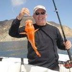 Jeffery Light Photo 4