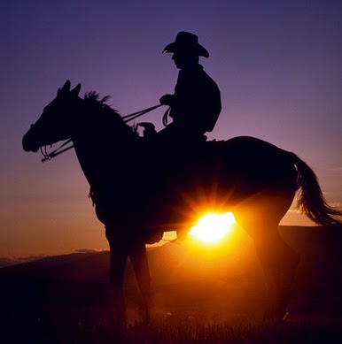 Clint Austin Photo 21