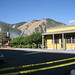 Connie Burns Photo 23
