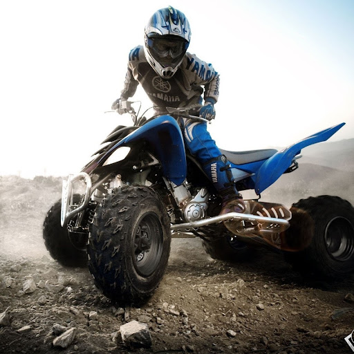 Daniel Alatorre Photo 20