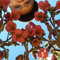 Deborah Yost Photo 18