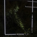 David Burghardt Photo 10