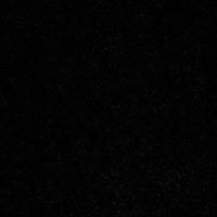 Vance Burgess Photo 3