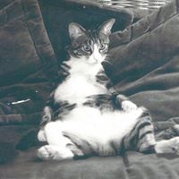 Pam Shepard Photo 33