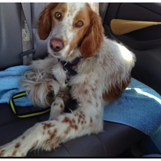 Kristin Hall Photo 24