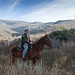 Jeffrey Peters Photo 22