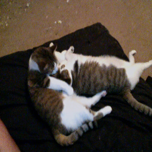 Brian Schafer Photo 19