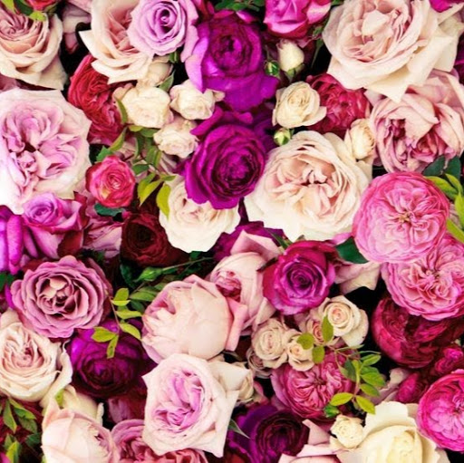 Shawna Long Photo 17