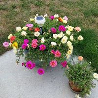 Scott Estes Photo 32