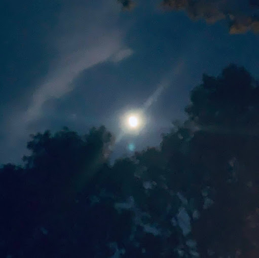 April Travis Photo 17