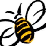 Cynthia Trimmer Photo 18