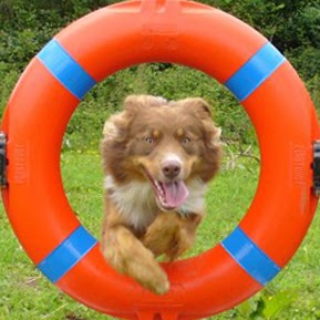 Jan Jackson Photo 34